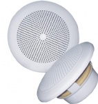 marine ceiling speaker